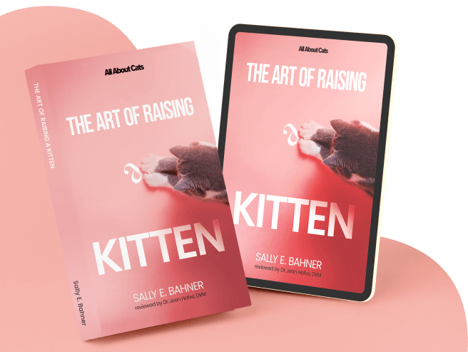 Kitten book