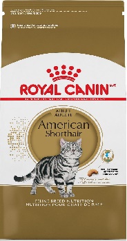 Royal Canin American Shorthair Adult Dry Cat Food