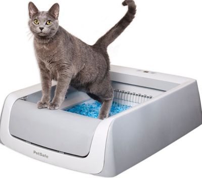 ScoopFree Original Automatic Self Cleaning Cat Litter Box Gray Compressed, The Cat 24