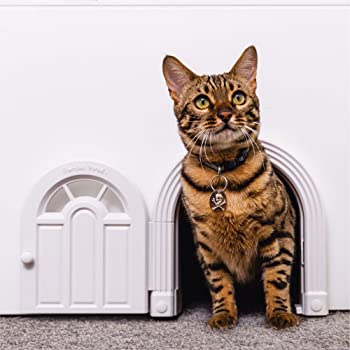 Purrfect Portal Meow Manor