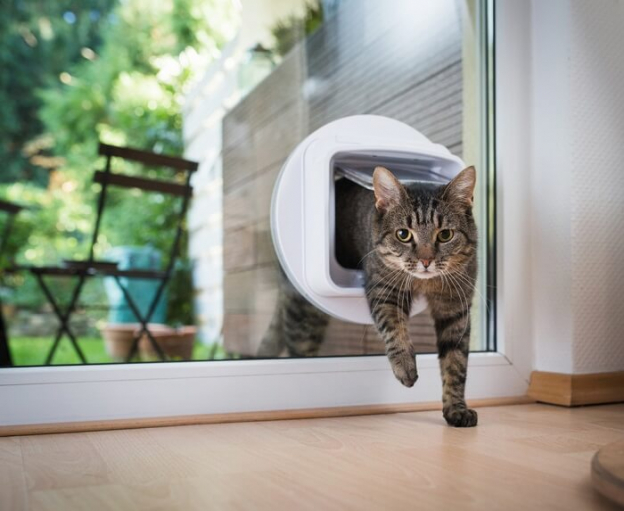 The 7 Best Cat Doors In 2022 All, Stop Cat Opening Sliding Door