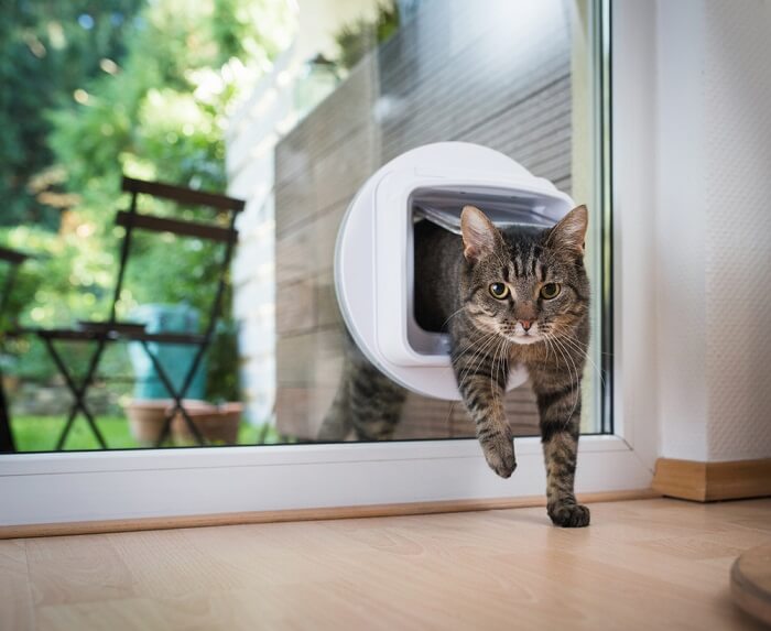 Indoor Cat Door Kitten Hole Pass Hollow Door Interior Pet Door for Wall Glass White 