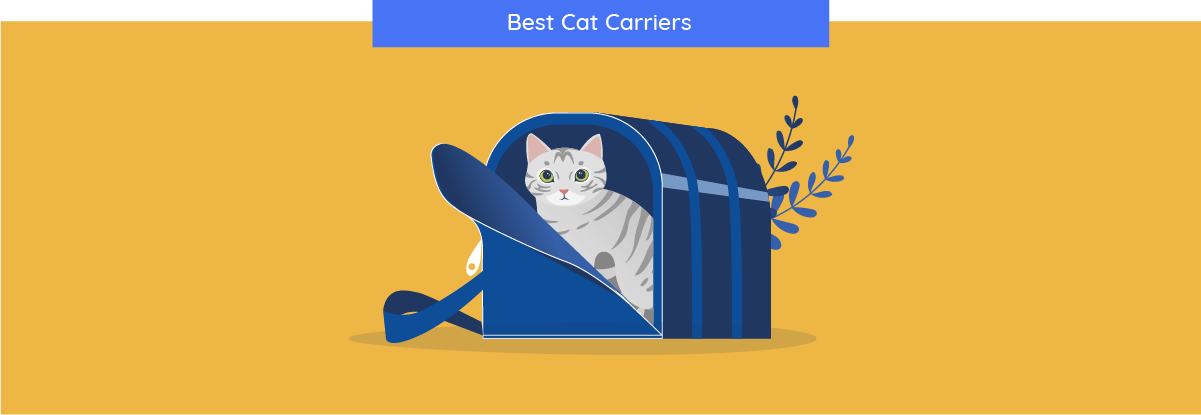 Best Cat Carrier