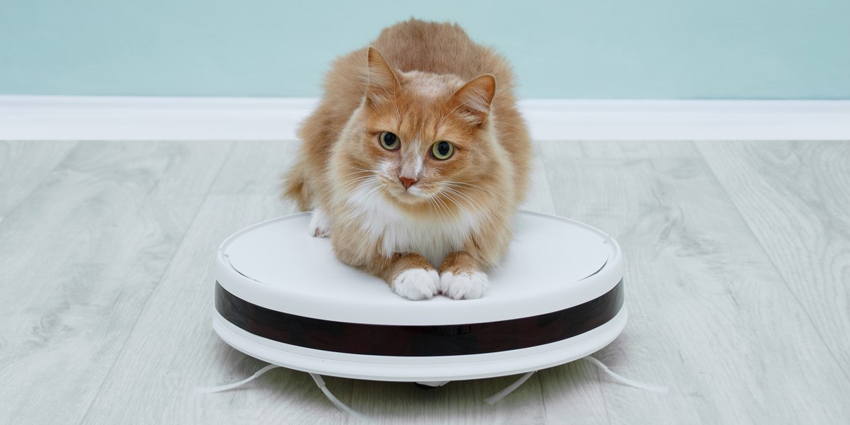 Best Roomba For Pet Hair In 2022, Best Roomba For Pet Hair And Tile Floors