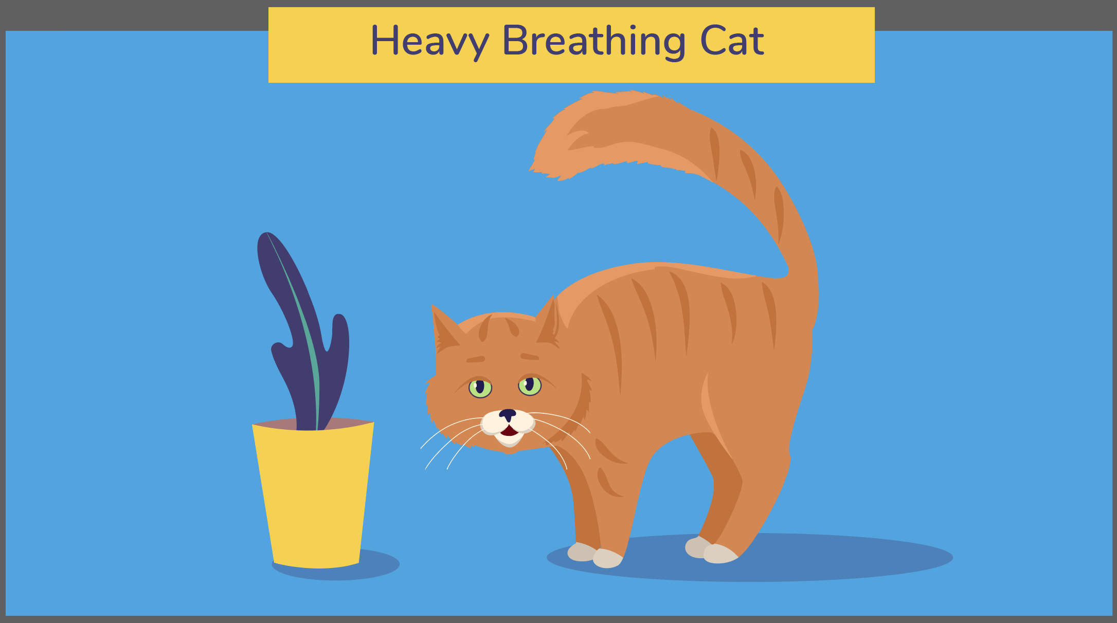 heavy breathing cat