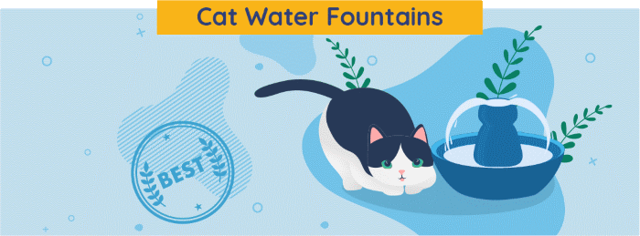 cat water fountain