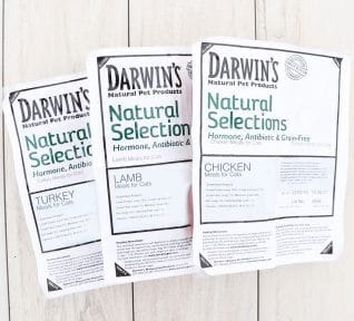 Darwin's Natural Pet Natural Selections™ Lamb Raw Cat Food