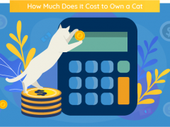 cost of owning a cat