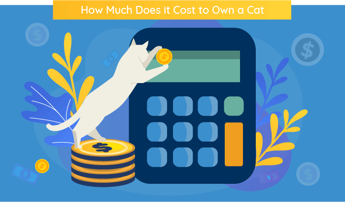 How Much Does It Cost To Own A Cat In 2022