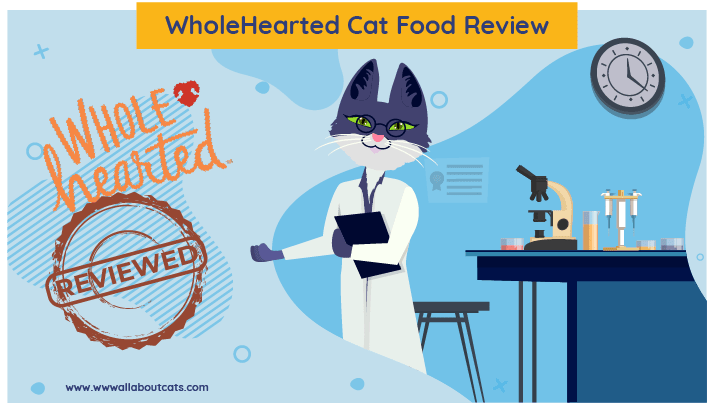 simply nourish cat food reviews 2019