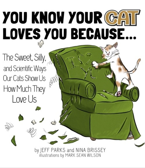 You Know Your Cat Loves You Because… 