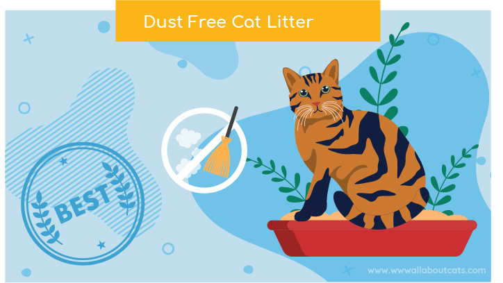 dust free cat litter