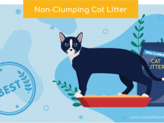 non clumping cat litter