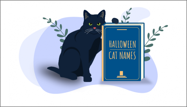 100 Most Popular Halloween Cat Names In 2022 - All About Cats