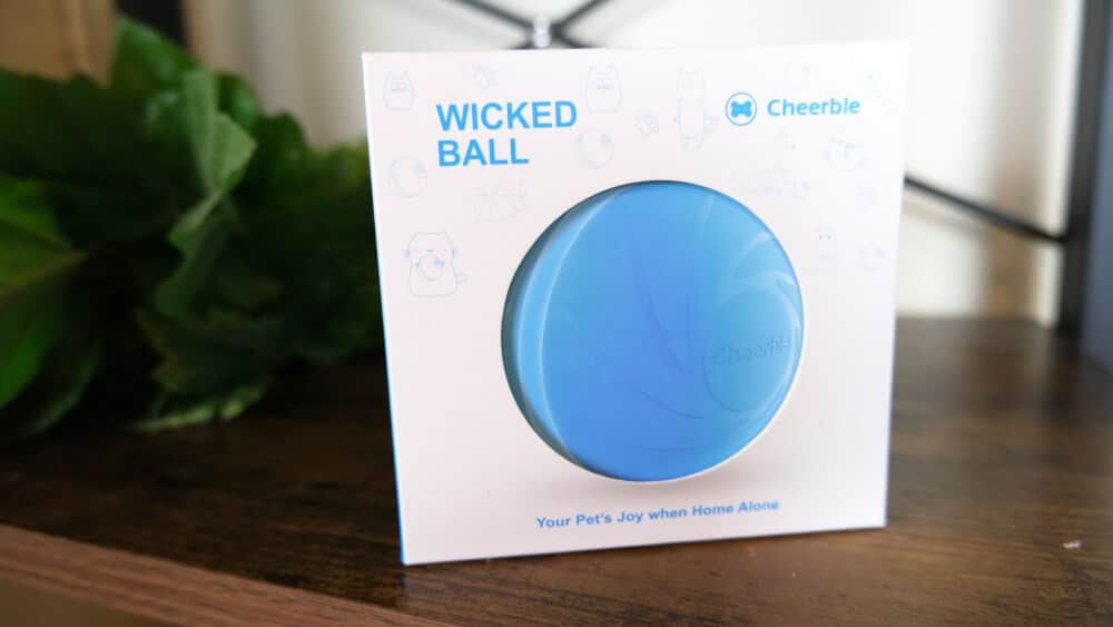 Cheerble Wicked Ball Review Feature