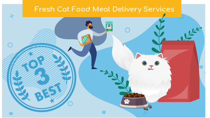 Best Fresh Cat Food Meal Delivery 