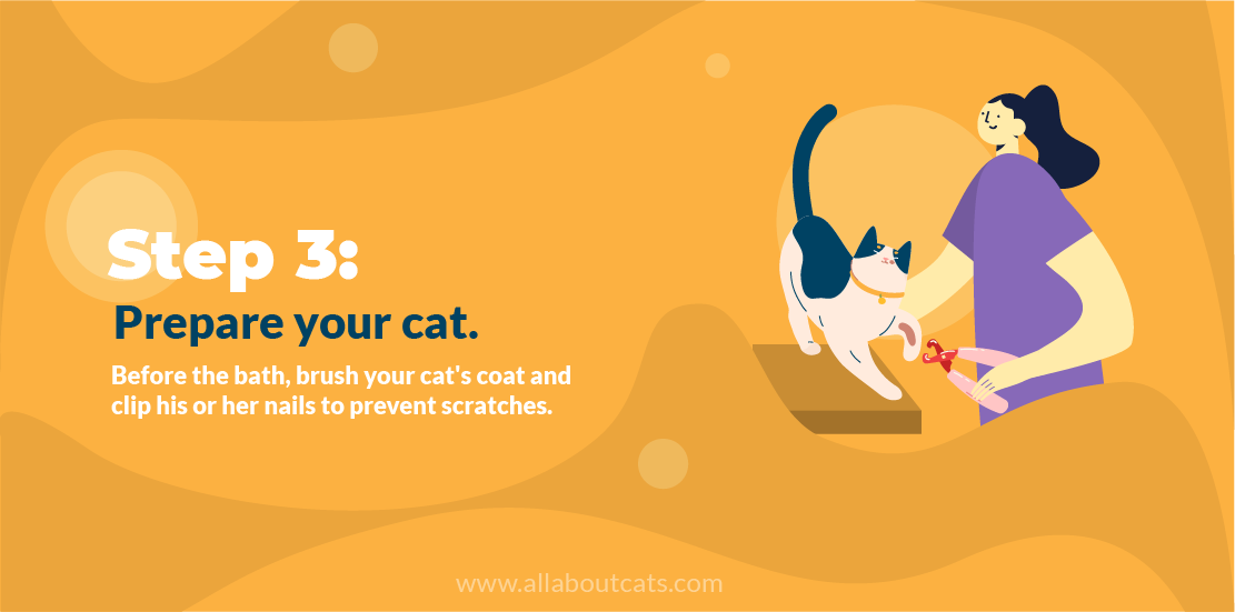 Cómo dar un baño a un gato Paso 3 Prepare a su gato
