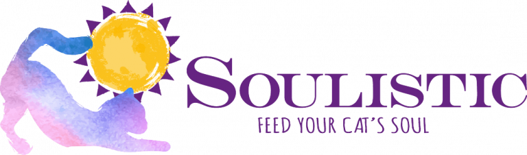 Soulistic logo
