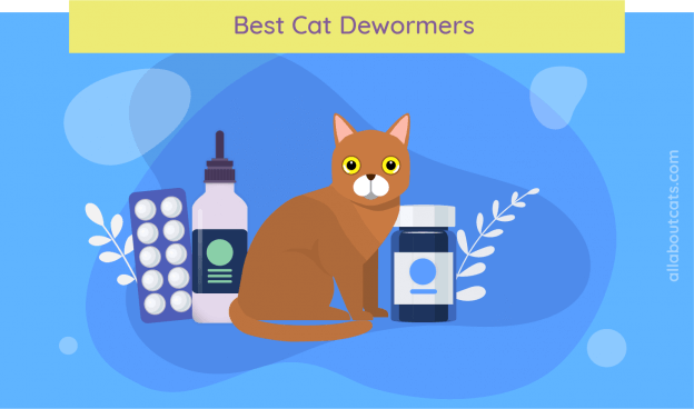 Best Cat Dewormers