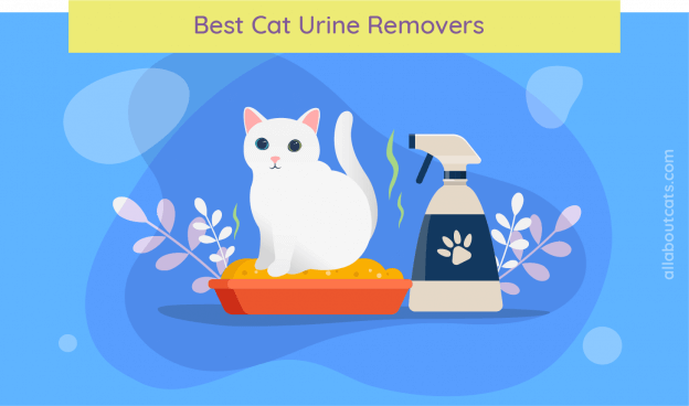 Top 11 Best Cat Urine Removers Enzyme, Best Cat Urine Remover For Hardwood Floors