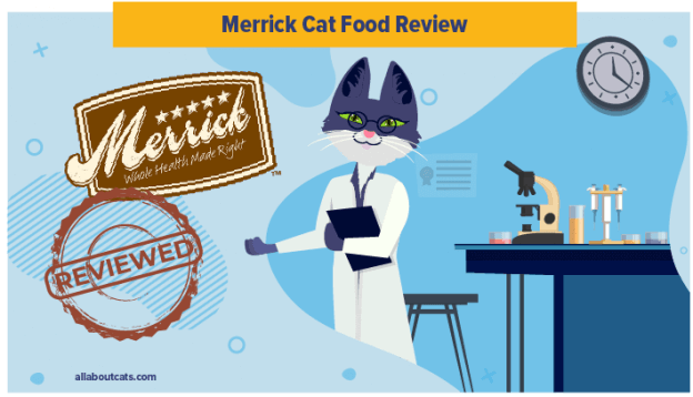 Merrick Cat Food Review