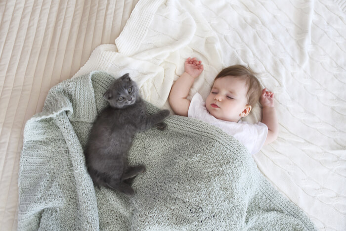 Baby napping with kitten