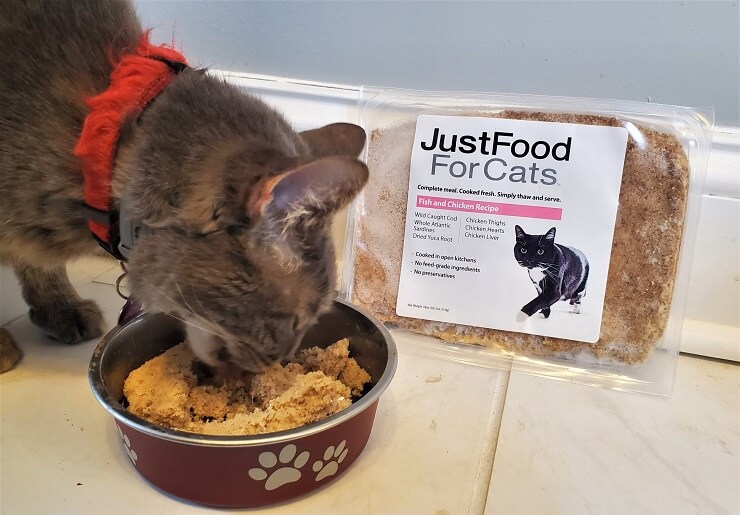 Just Food For Cats Unbiased Cat Food Review All About Cats