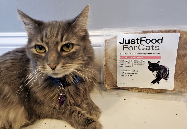 Just Food For Cats Unbiased Cat Food Review All About Cats