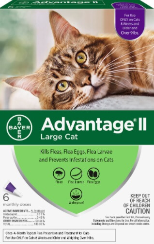 Advantage Large Cat, The Cat 24