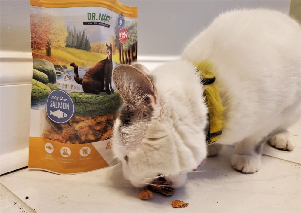 Unbiased Dr. Marty Cat Food Review All About Cats