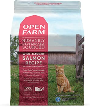 best dry cat food for indoor cats