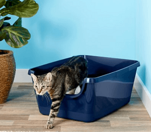 Frisco High Sided Cat Litter Box 1, The Cat 24