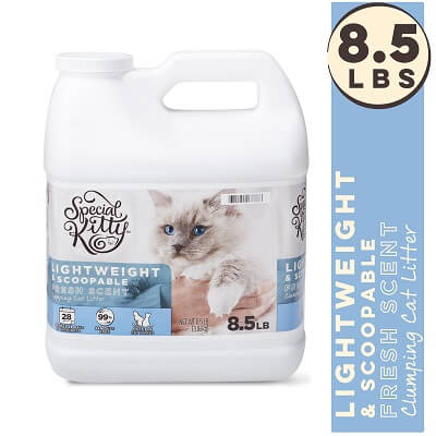 Special Kitty Lightweight Scoopable Clumping Cat Litter Fresh Scent