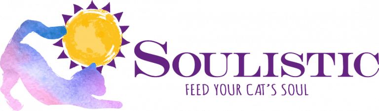 Soulistic logo