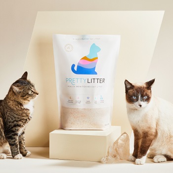 Pretty Litter, The Cat 24