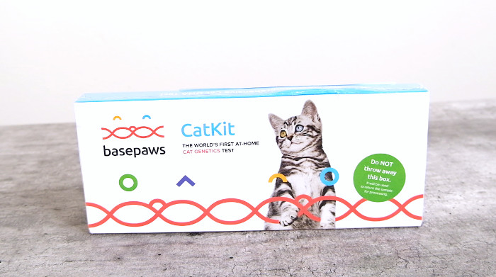 Basepaws Cat DNA Test Review Feature