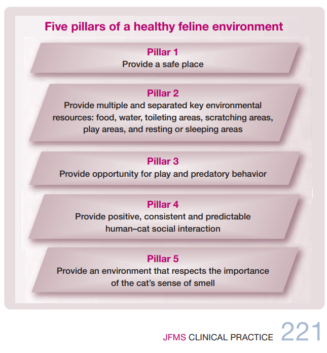 Five pillars of a healthy feline environment JFMS