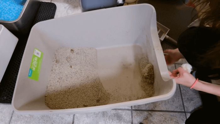 tapping clumps off the side of the litter box