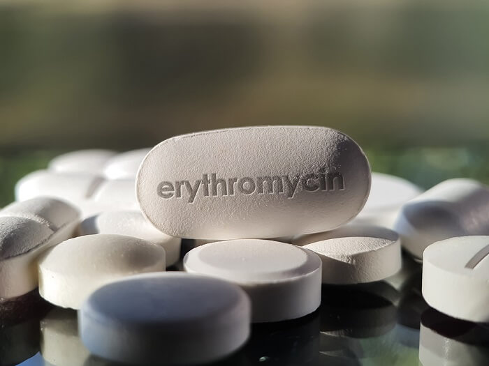 Erythromycin, The Cat 24