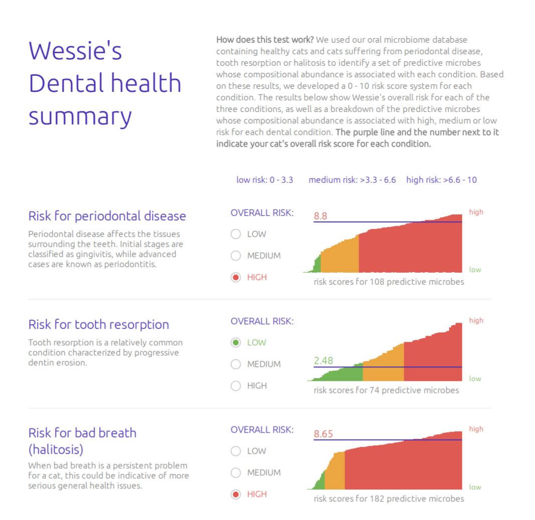 Wessie's dental health summary