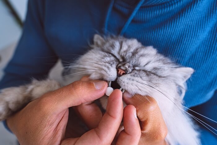 Fluoxetine For Cats Dosage