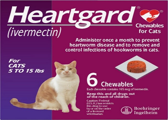 heartworm pills for cats
