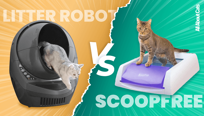 Litter Robot Vs ScoopFree 1, The Cat 24