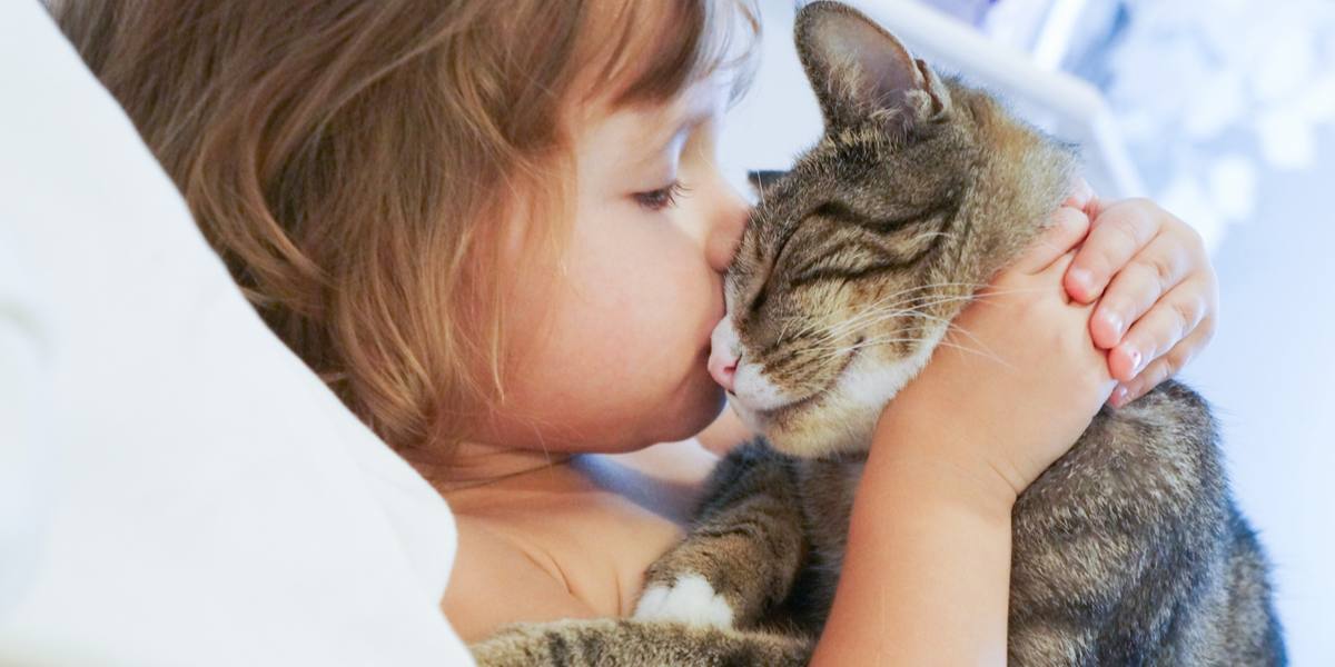 Child Kissing Cat Compressed, The Cat 24
