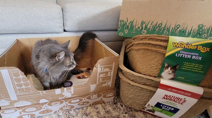 Kitty's WonderBox Disposable Litter Box Medium 3-Count 