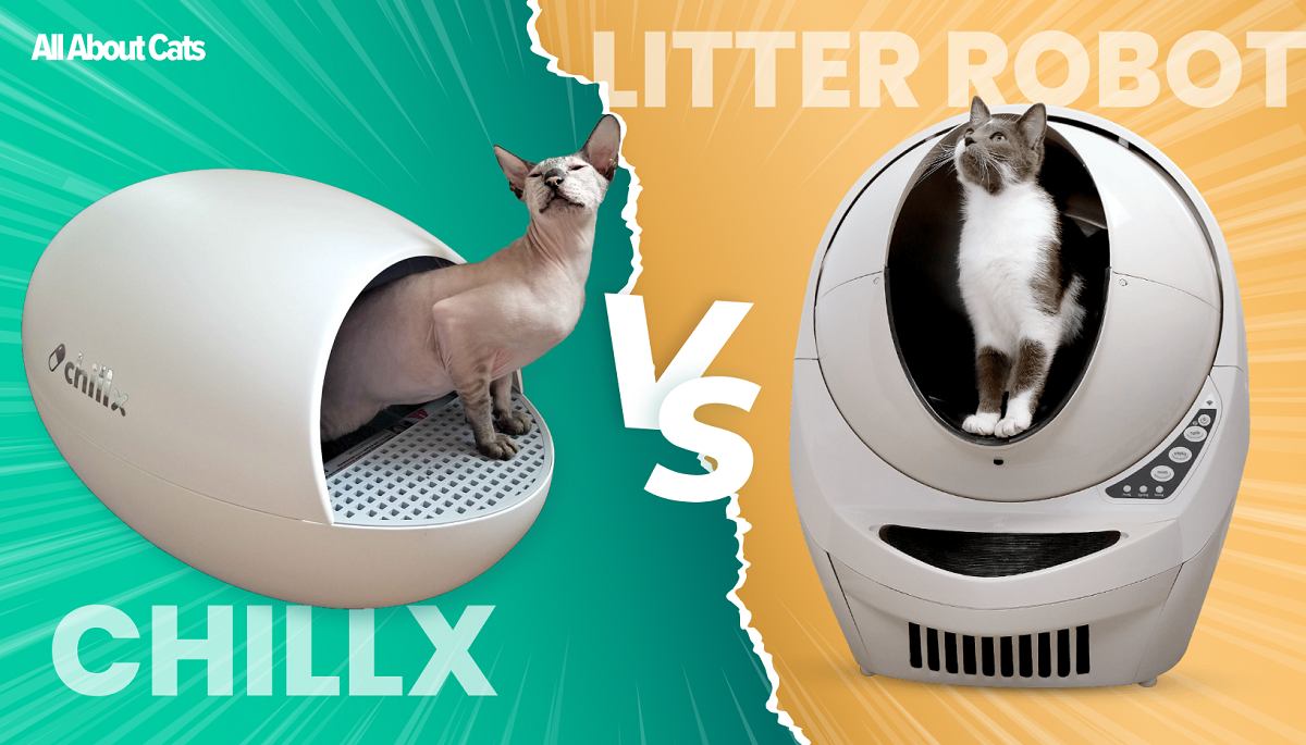 Litter Robot Vs ChillX Compressed, The Cat 24