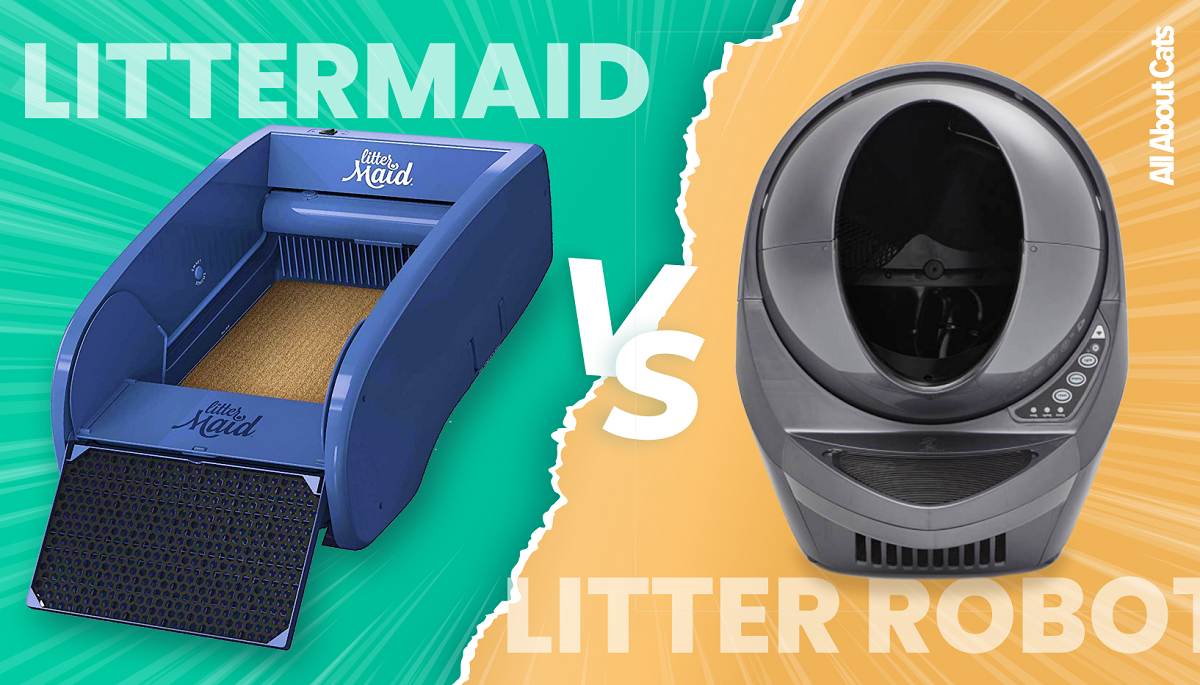 Litter Robot Vs LitterMaid Compressed, The Cat 24