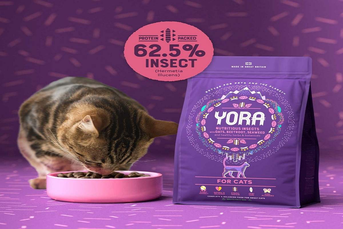 Best 9 yora dog food reviews ,you Should Know