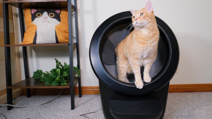 Litter-Robot 4 Review (We Tested It For a Month)