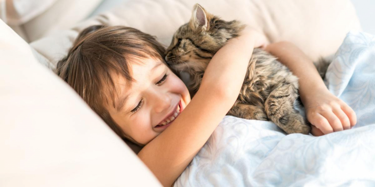 Why Does My Cat Lick My Hair? A Veterinarian Explains